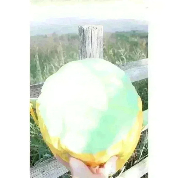 Sun Squad Girls Youth Toddler Kids Pineapple Print Sleeping Bag With Storage Bag - Picture 9 of 9